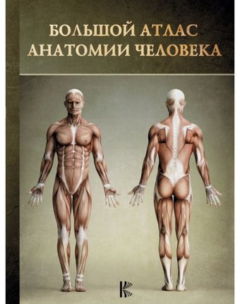 Миниатюра фотографии Издательство аст большой атлас анатомии человека
